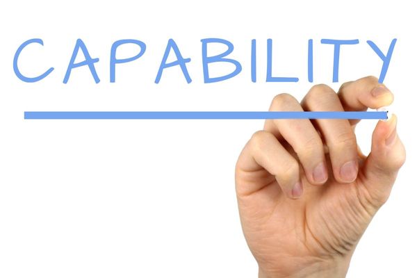 Building Data Science Capabilities in Organizations