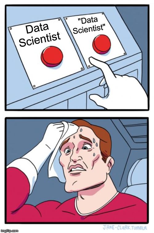 Hiring Data Scientists - "Real" vs "Fake"
