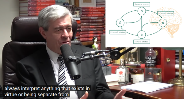 Lex Fridman Interview - Karl Friston