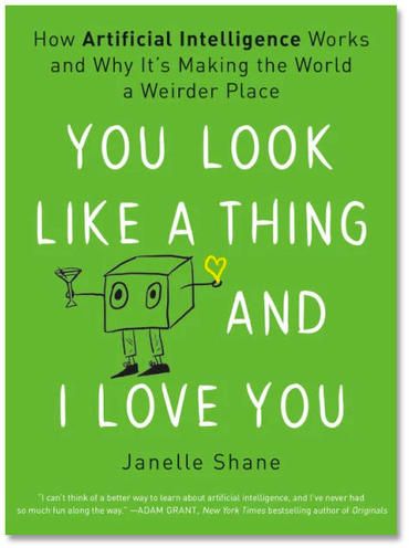 You Look Like a Thing and I Love You - Janelle Shane